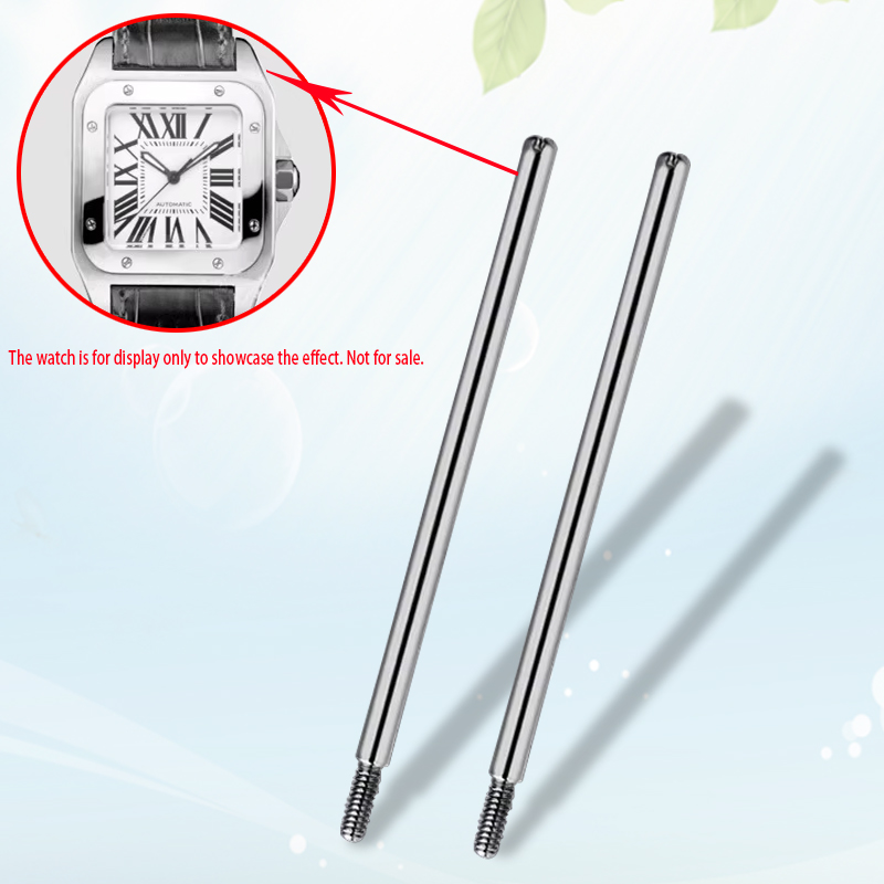 Women'S Accessories Cartier - Horlogeband Schroefverbinding Staaf Schroef Pin Verbindingsstang